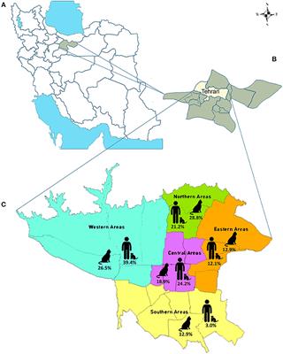 Prevalence and Molecular Characterization of Toxoplasma gondii and Toxocara cati Among Stray and Household Cats and Cat Owners in Tehran, Iran